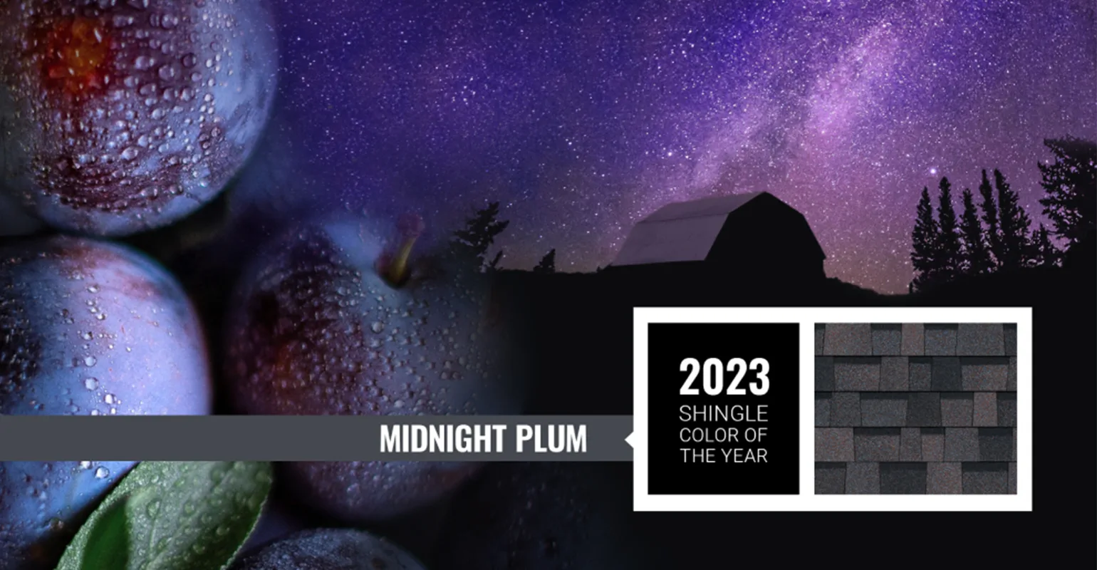 midnight plum scoty copy